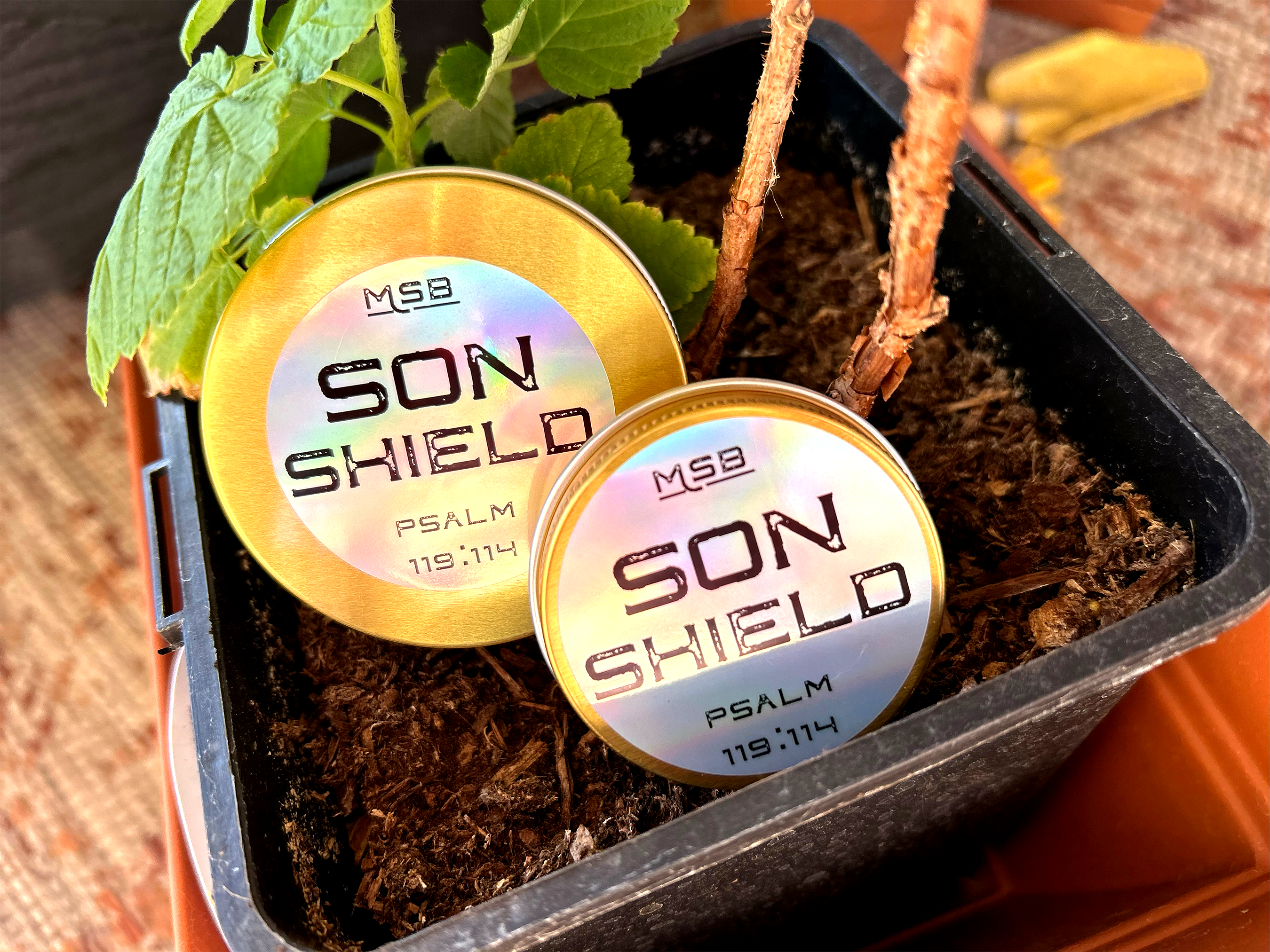 Son Shield (Sunscreen)