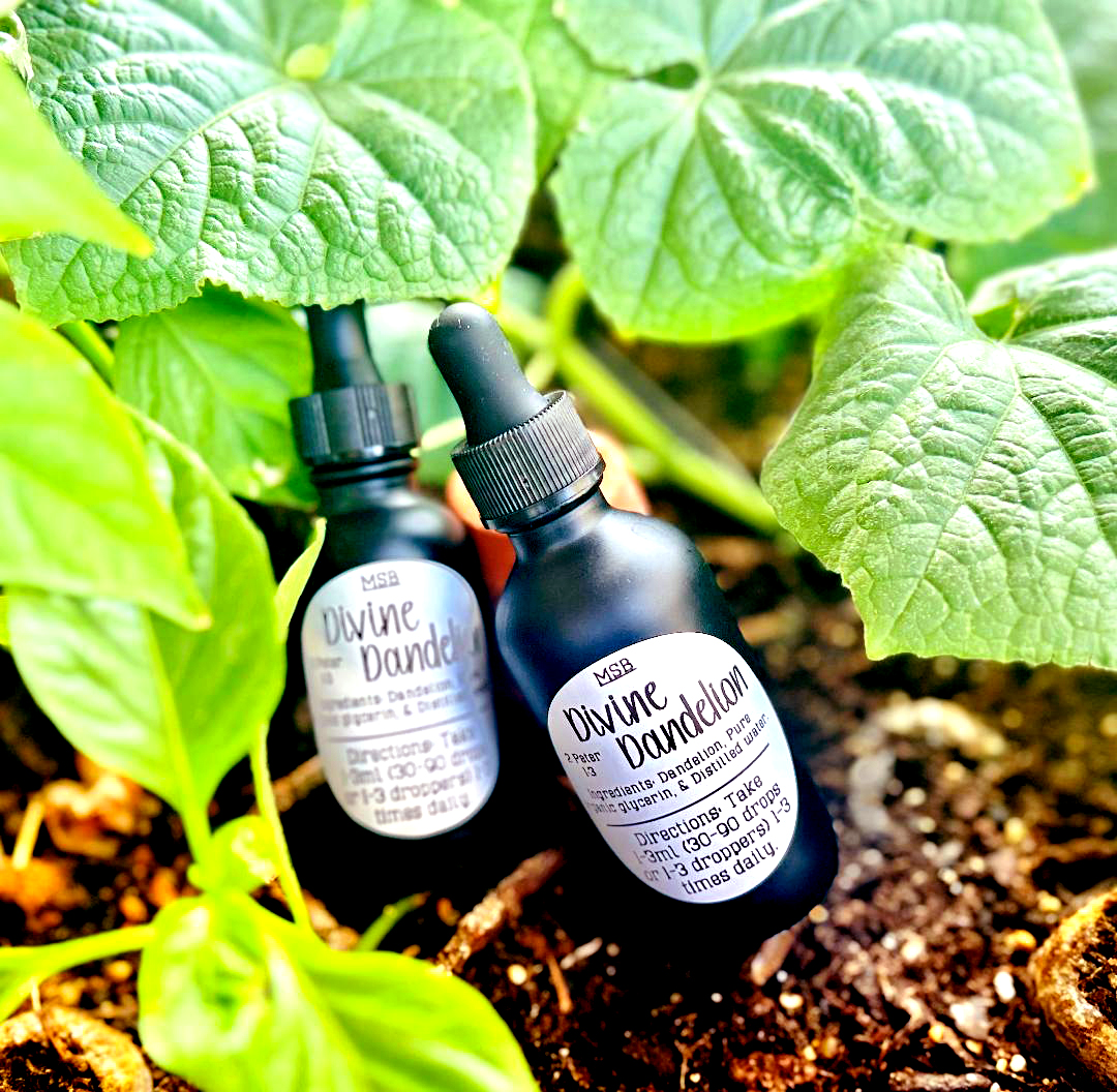 Divine Dandelion (Liver Detox/Gallbladder/Diuretic/Mastitis)