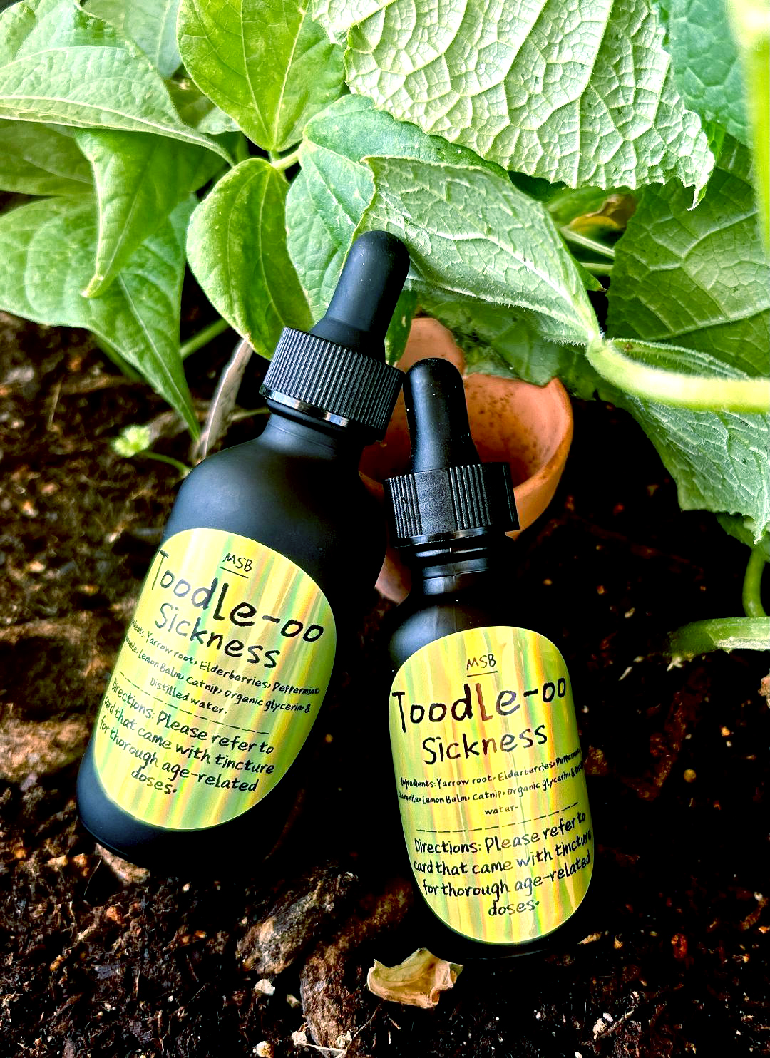 Toodle-oo Sickness (cold/flu relief for children)