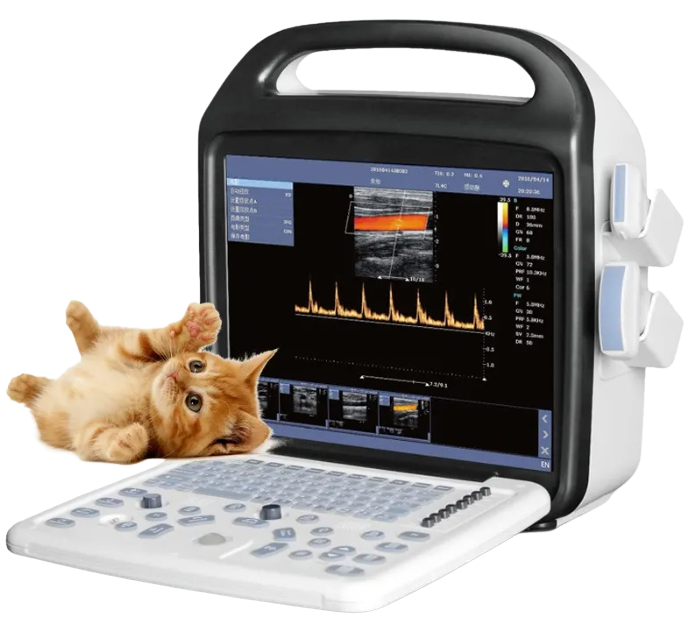 Portable Animal Vital Sign Multiparameter Ultrasound Scanner - Laptop Type Veterinary Sonogram for Pet Cats and Dogs