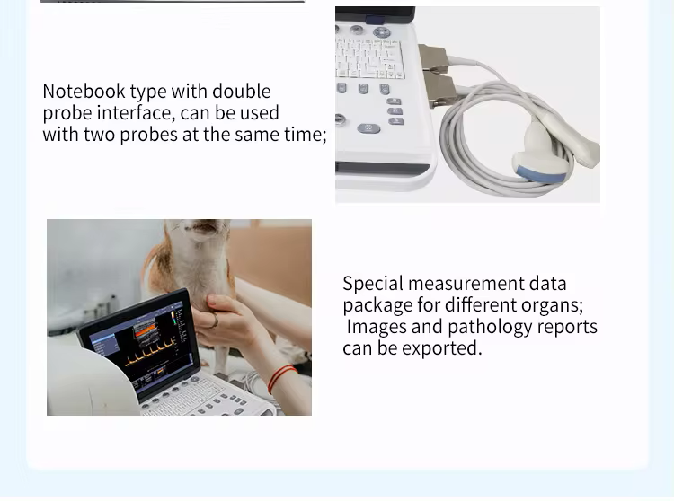 Wholesale Handheld Veterinary Instruments: Advanced Scanners and Ultrasound Machines for Animal Care
