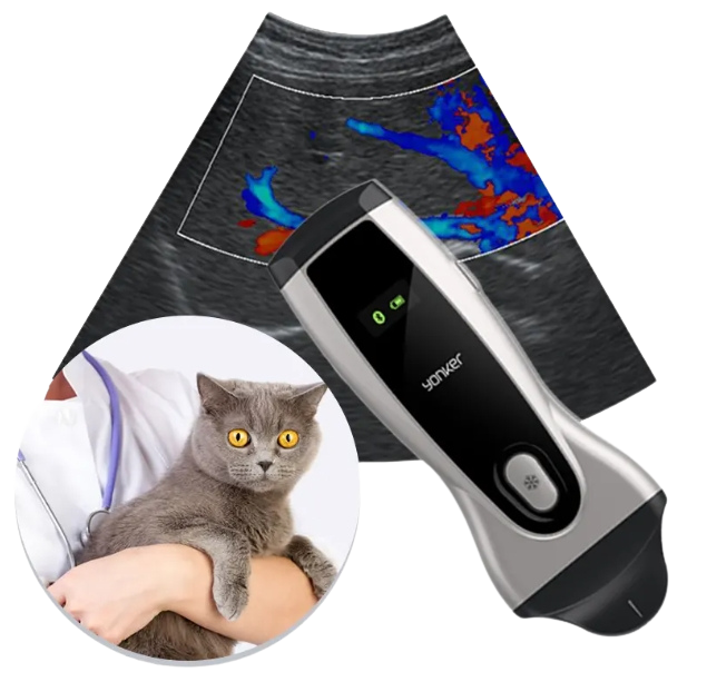  Ultimate USB Wireless Mini Handheld Ultrasound Scanner for Veterinary Use