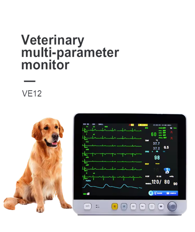 Veterinary Ultrasound Scanner