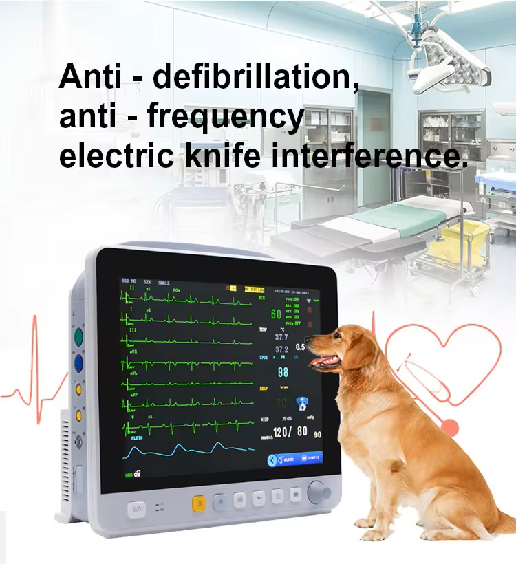 Veterinary Ultrasound Scanner