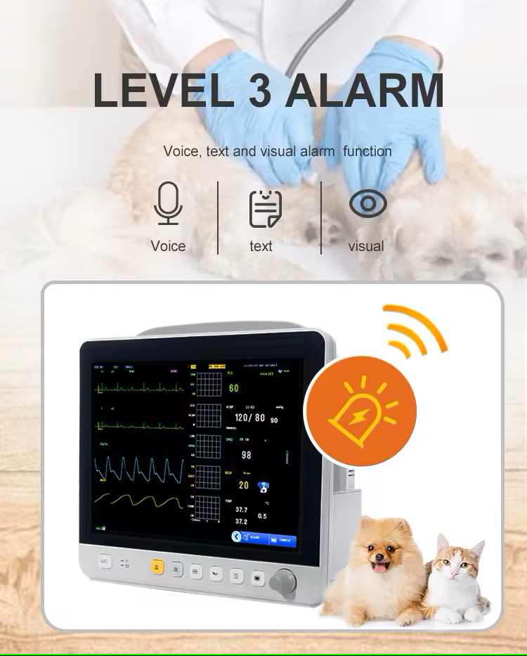 Veterinary Ultrasound Scanner
