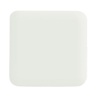 Foam Dressing