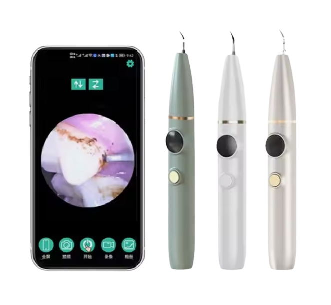 2024 New Arrival Home Teeth Dental Tartar Scaler