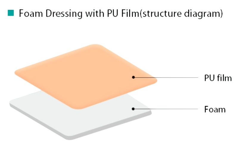 Foam Dressing