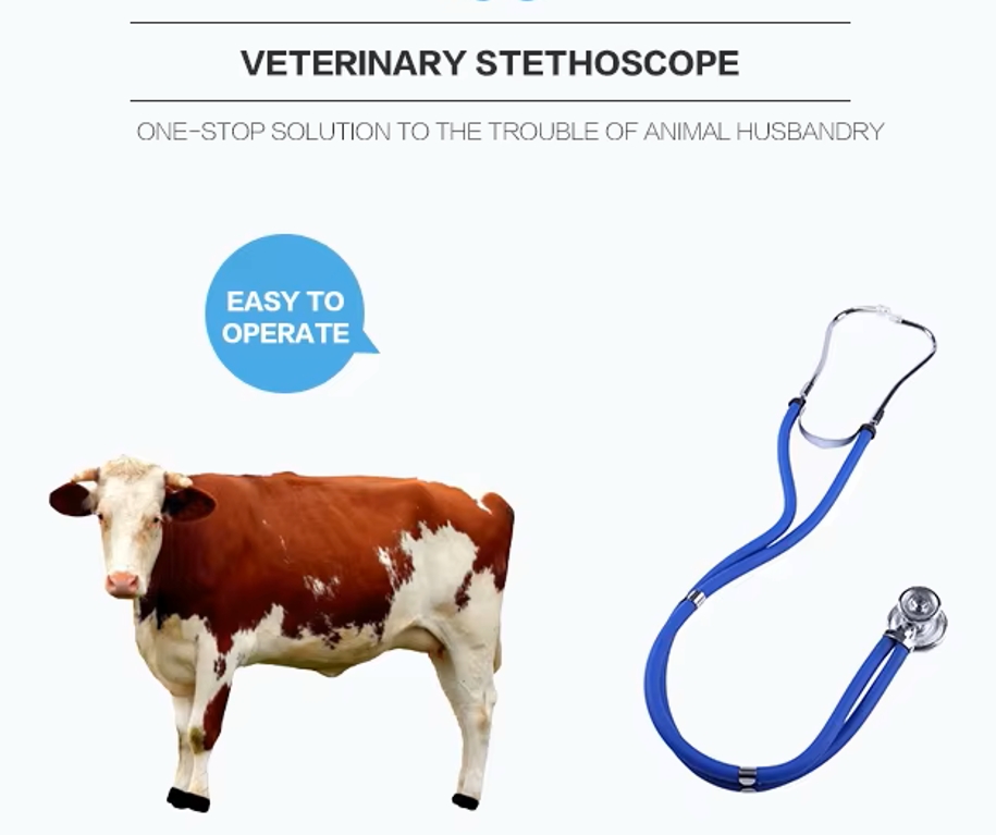 Portable Dual Head Stethoscope: A Medical Essential for Vets Treating Pets and Livestock