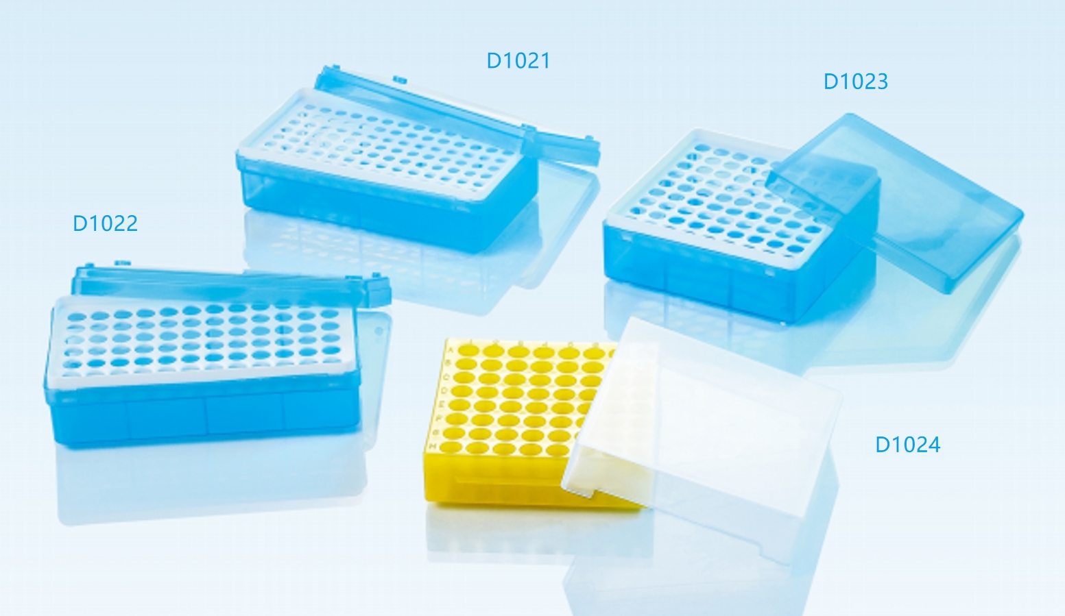 D1021