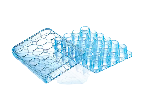 F1004 24 Wells Cell Culture Plates