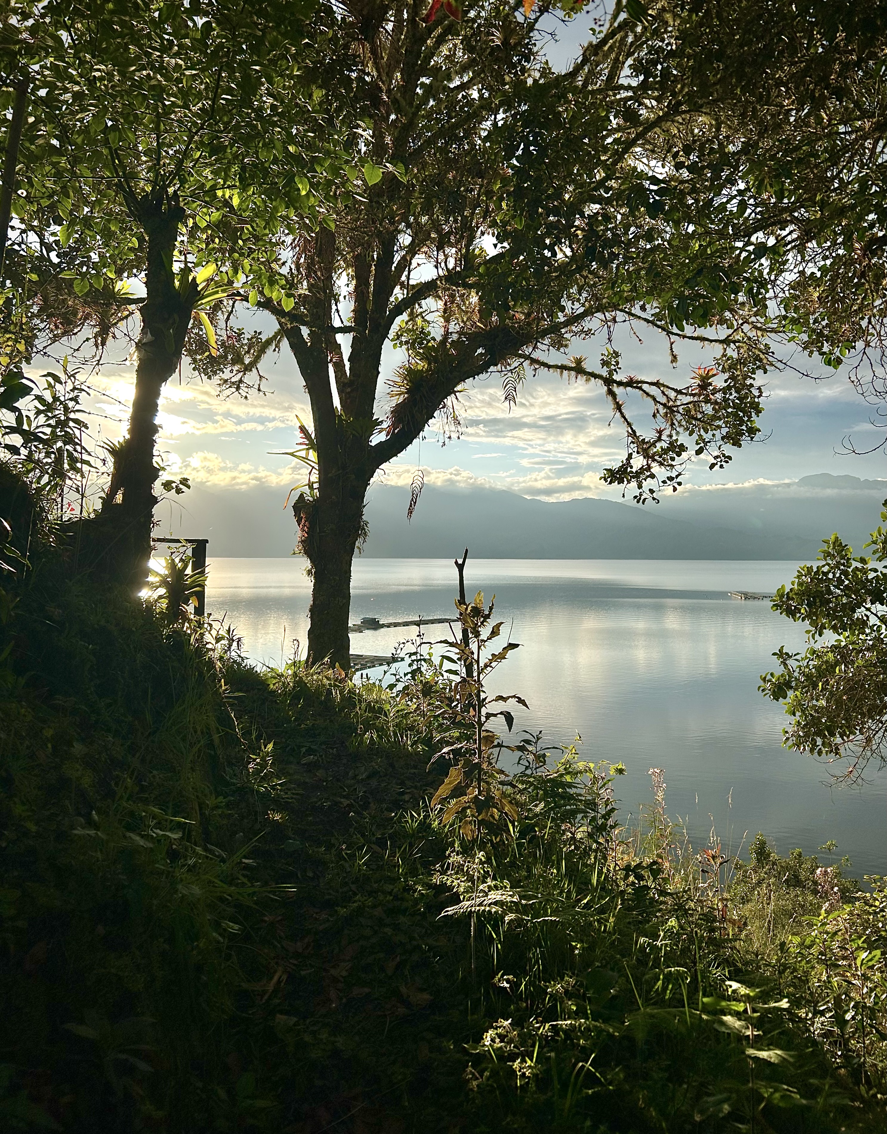 Paquete Clásico - 4 personas
