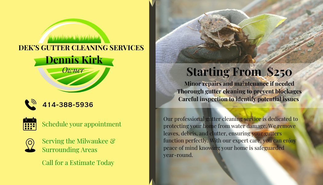 Business flyers and business card