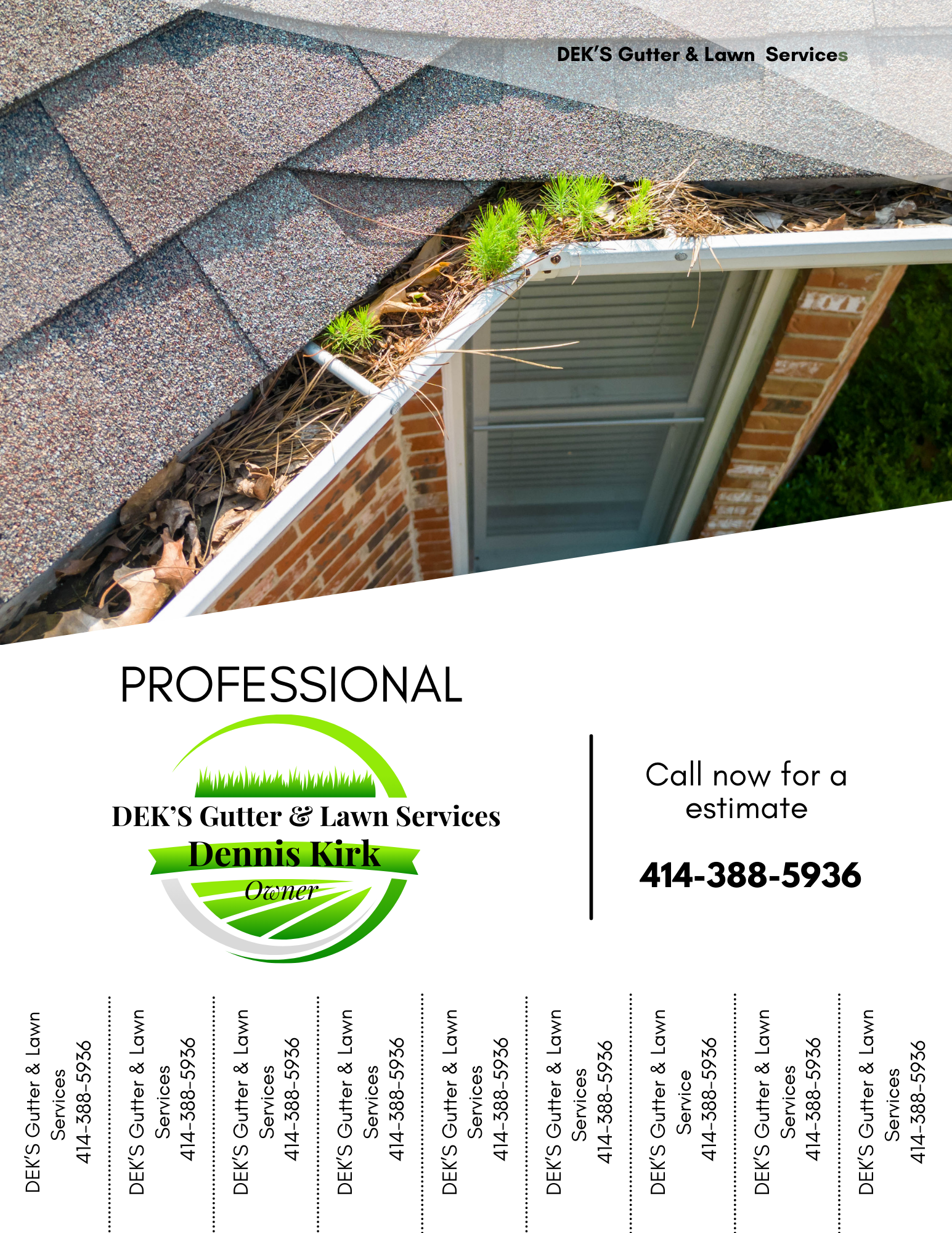 Business flyers and business card 