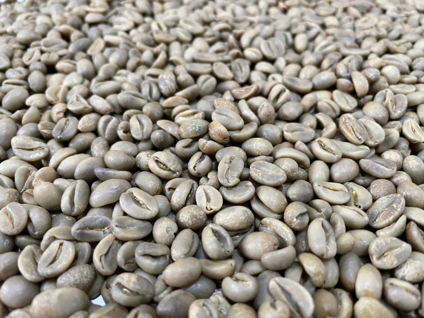 Arabica Green Coffee Bean