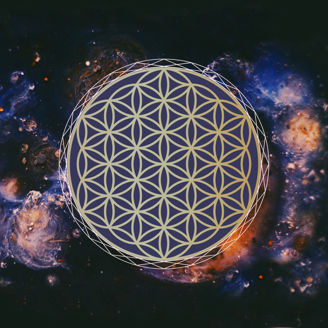 Quantum Soul Evolution