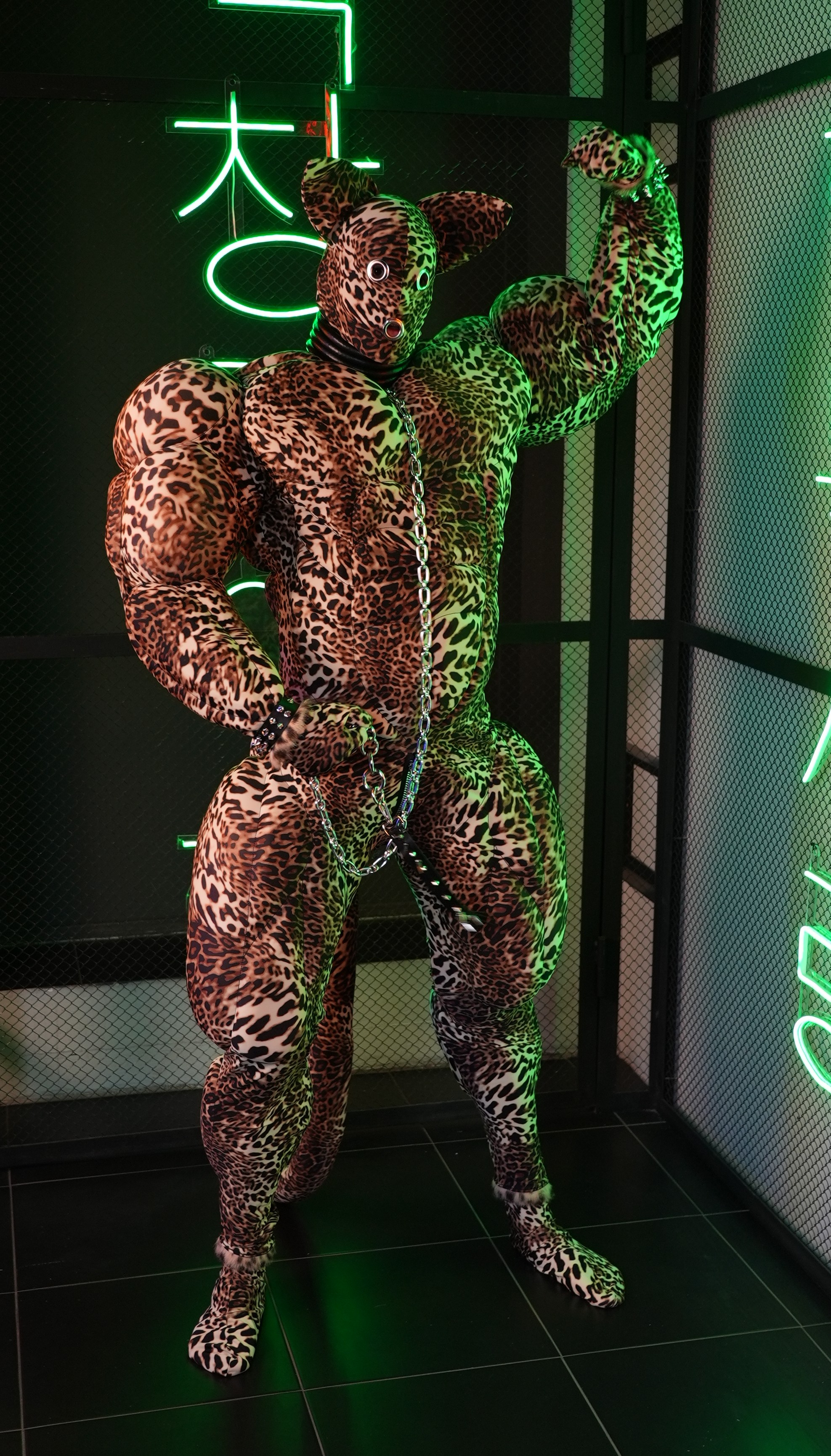 Big muscle suit / jaguar