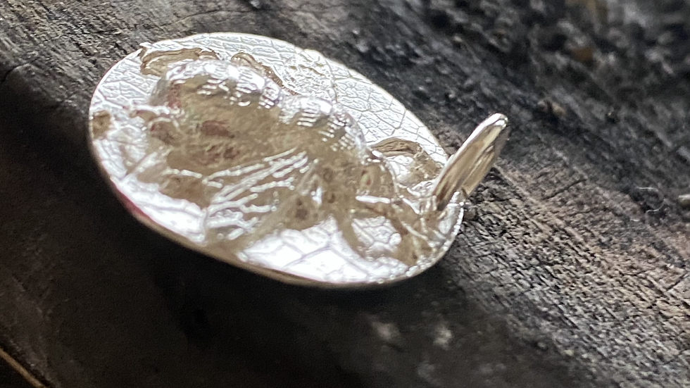 Solid Silver Honey Bee Coin Pendant & Chain.