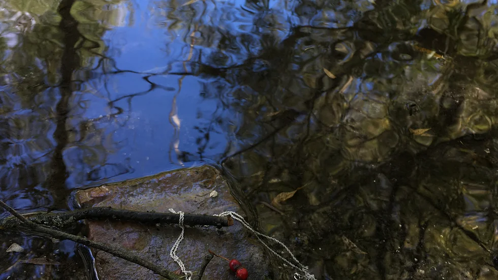 Ripple © Part of the Wolds Way Series