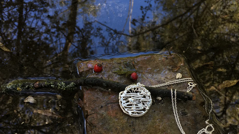 Ripple © Part of the Wolds Way Series