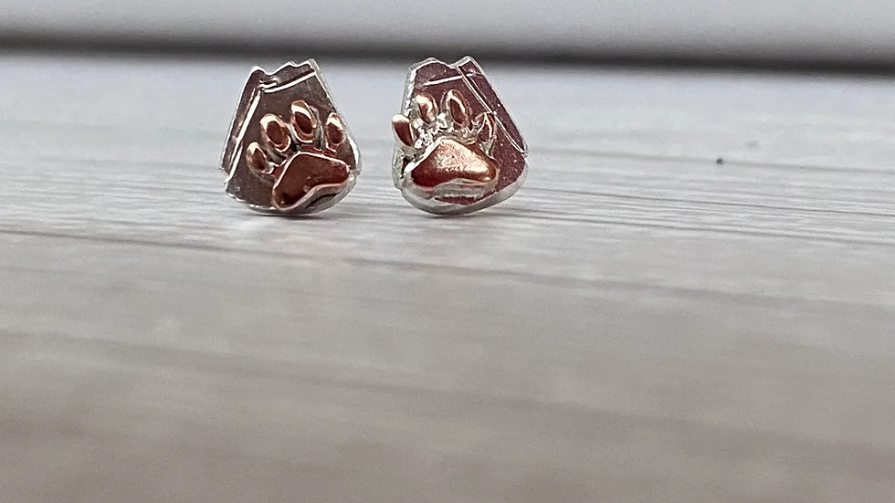 Earrings - Paw Print and Marmalade Sandwich Stud Earrings  