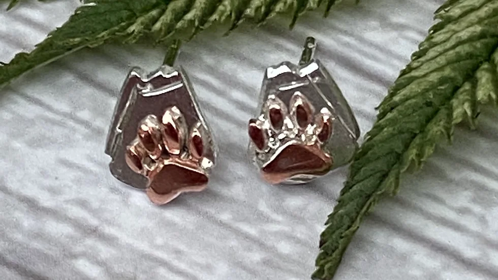 Earrings - Paw Print and Marmalade Sandwich Stud Earrings  