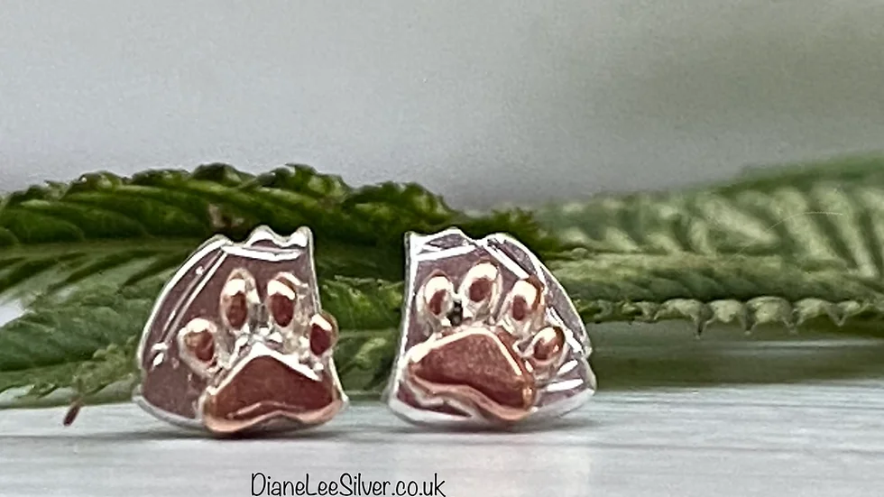 Earrings - Paw Print and Marmalade Sandwich Stud Earrings  
