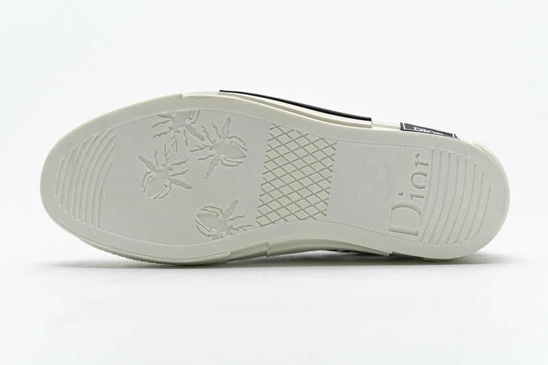 D1or B23 Low Top Logo Oblique