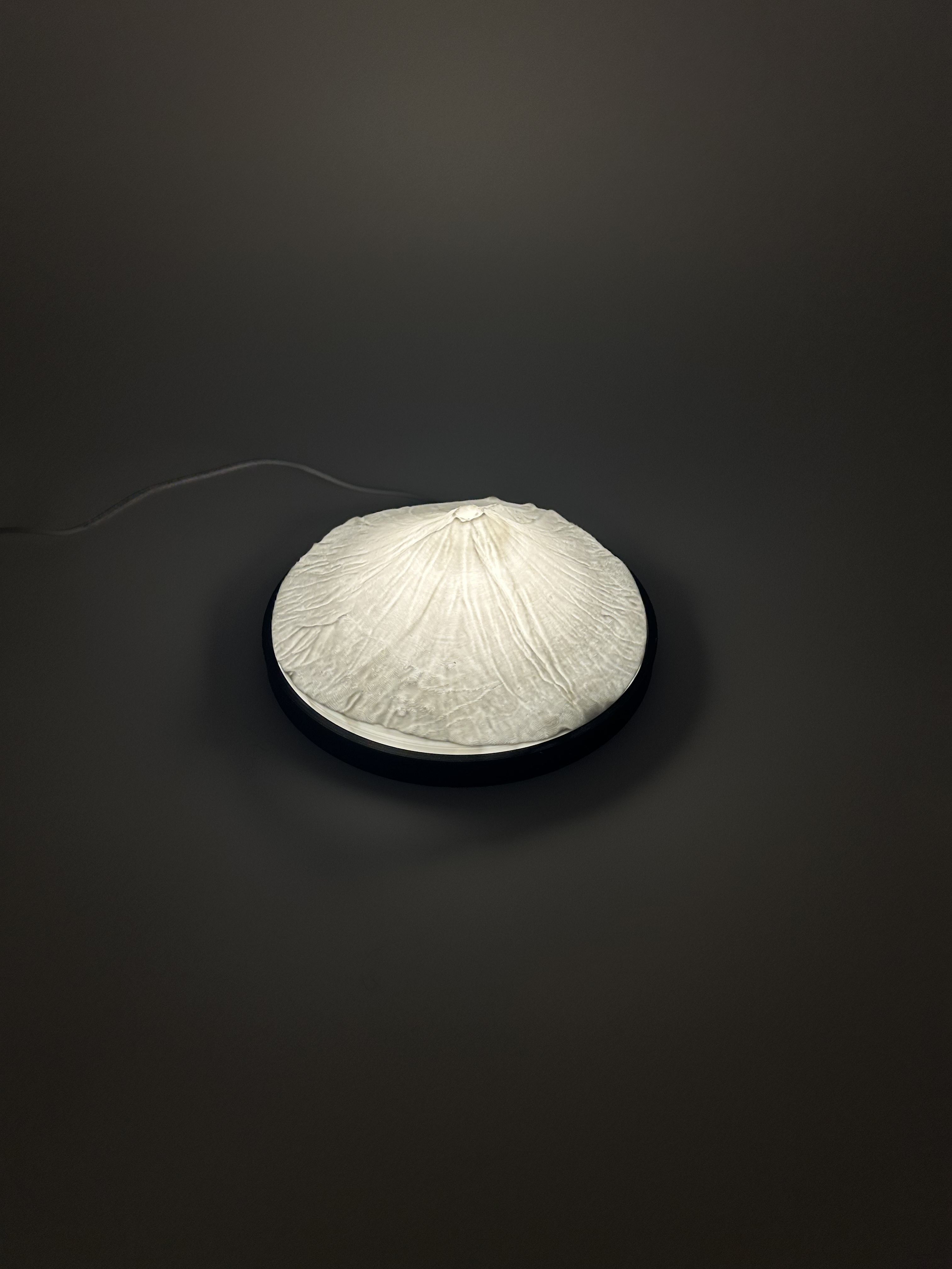 Lampe Mont Fuji, Japon