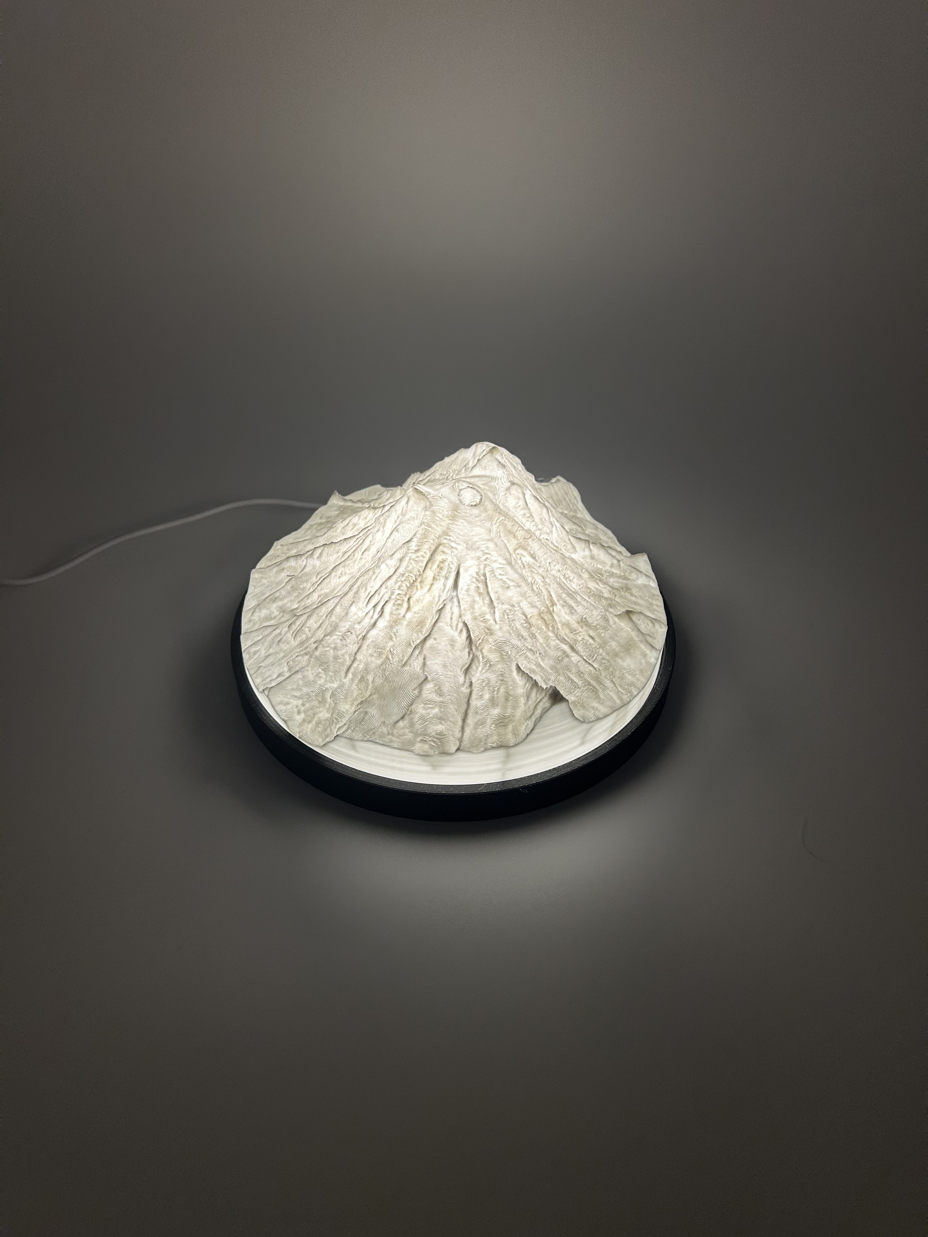 Lampe Mont Rainier, USA