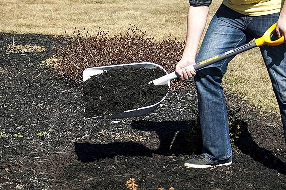 Poly Scoop Shovel with Hardwood Handle & D-Grip