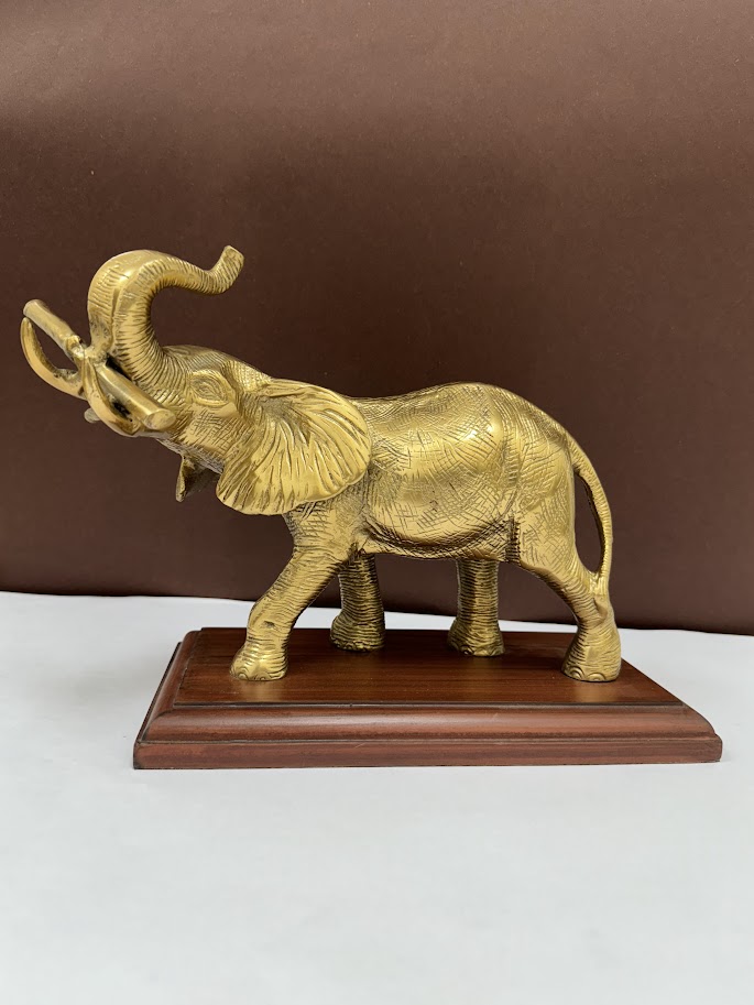 Elephant with Sugarcane