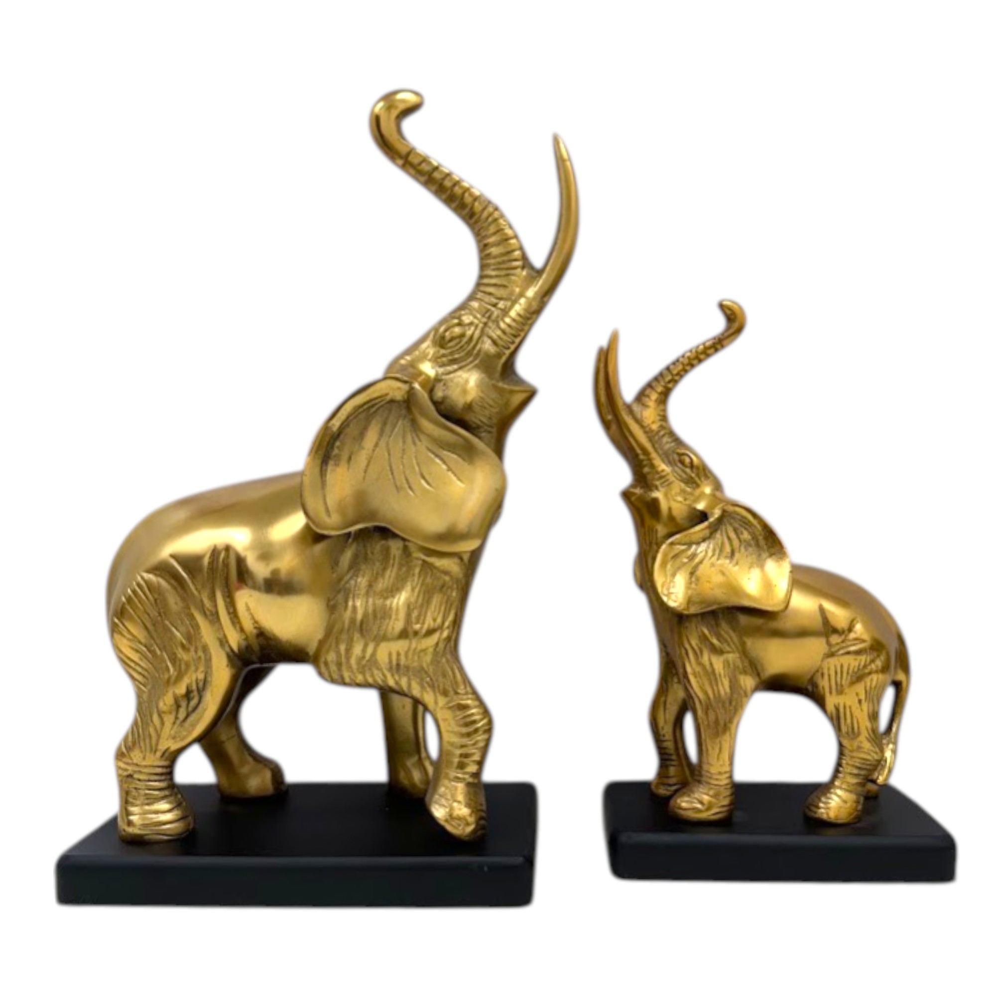 Graceful Elephant with Raised Trunk