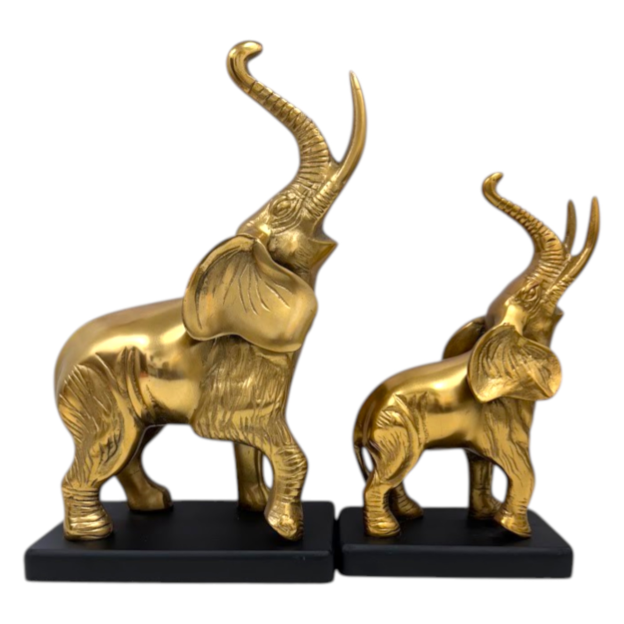 Graceful Elephant with Raised Trunk