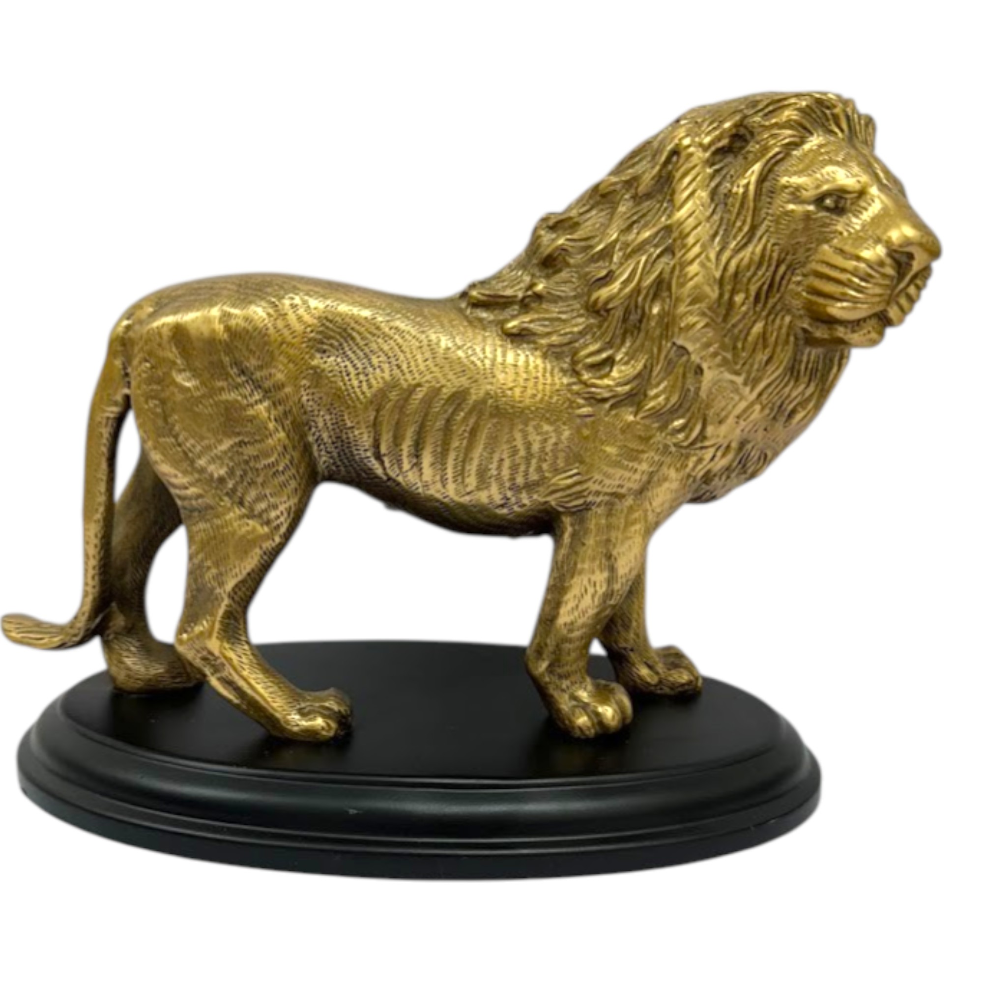 Regal Lion 