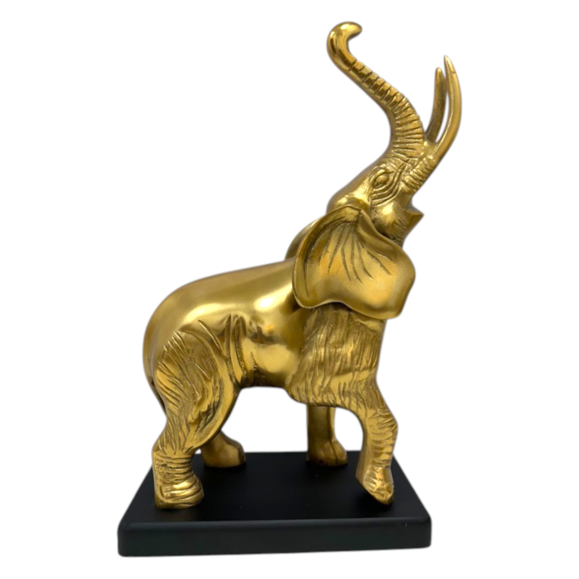 Graceful Elephant with Raised Trunk