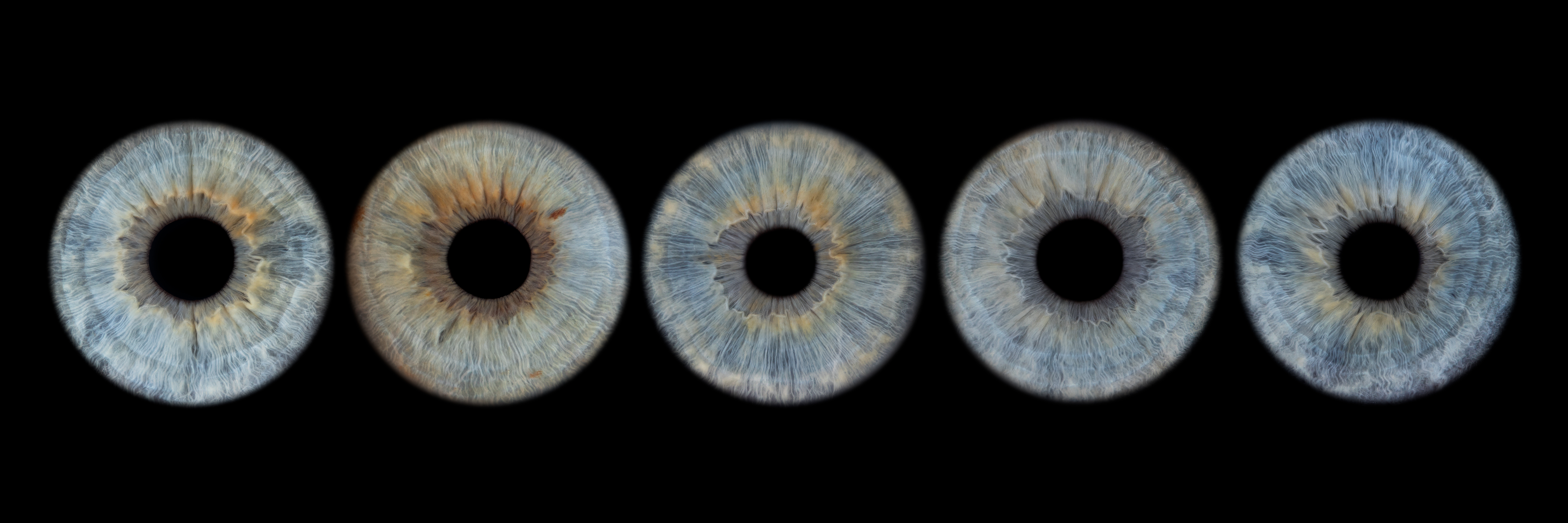 Opnamekosten voor 5 personen