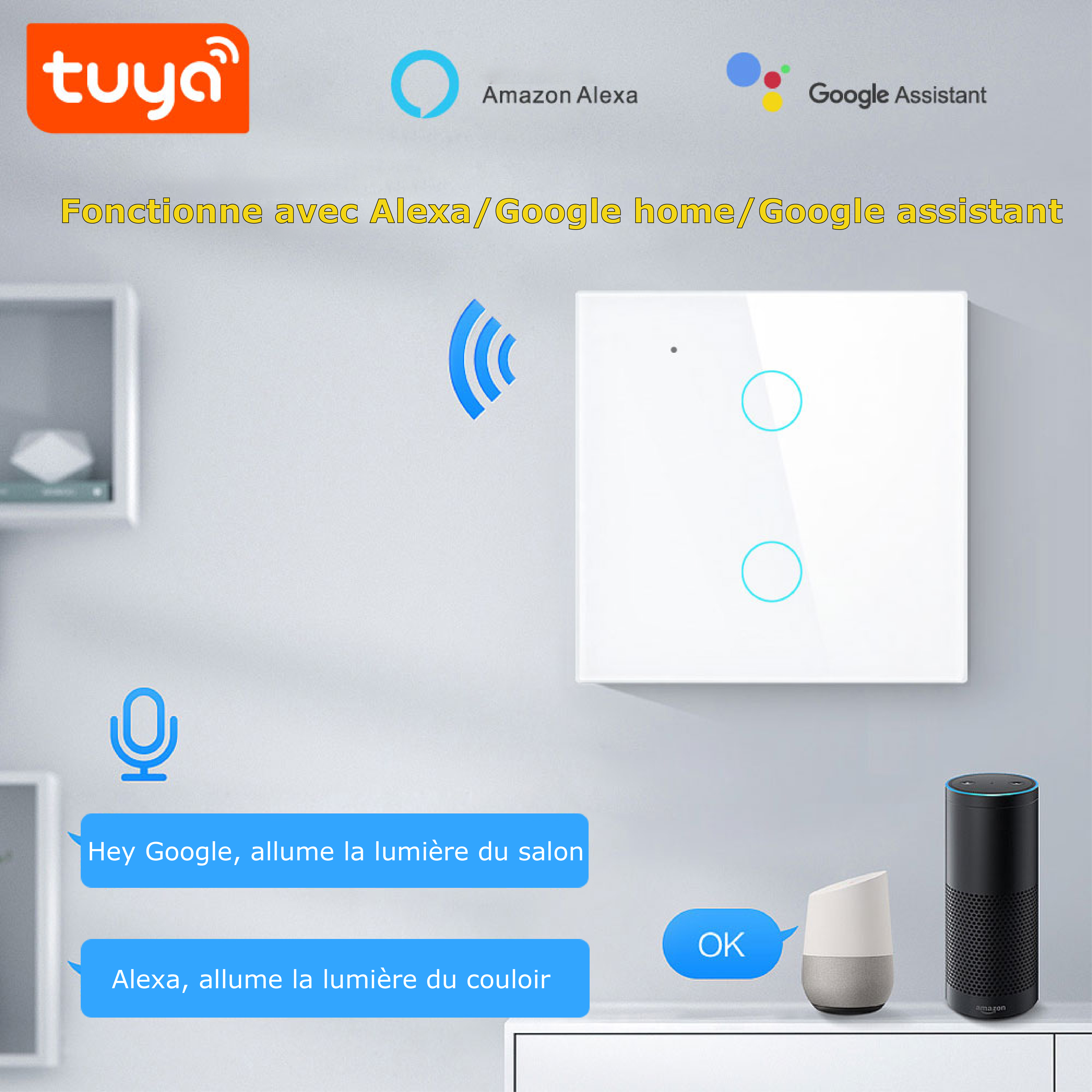 Illuminez votre intérieur avec l'interrupteur tactile double intelligent Wifi et l'application Smartlife