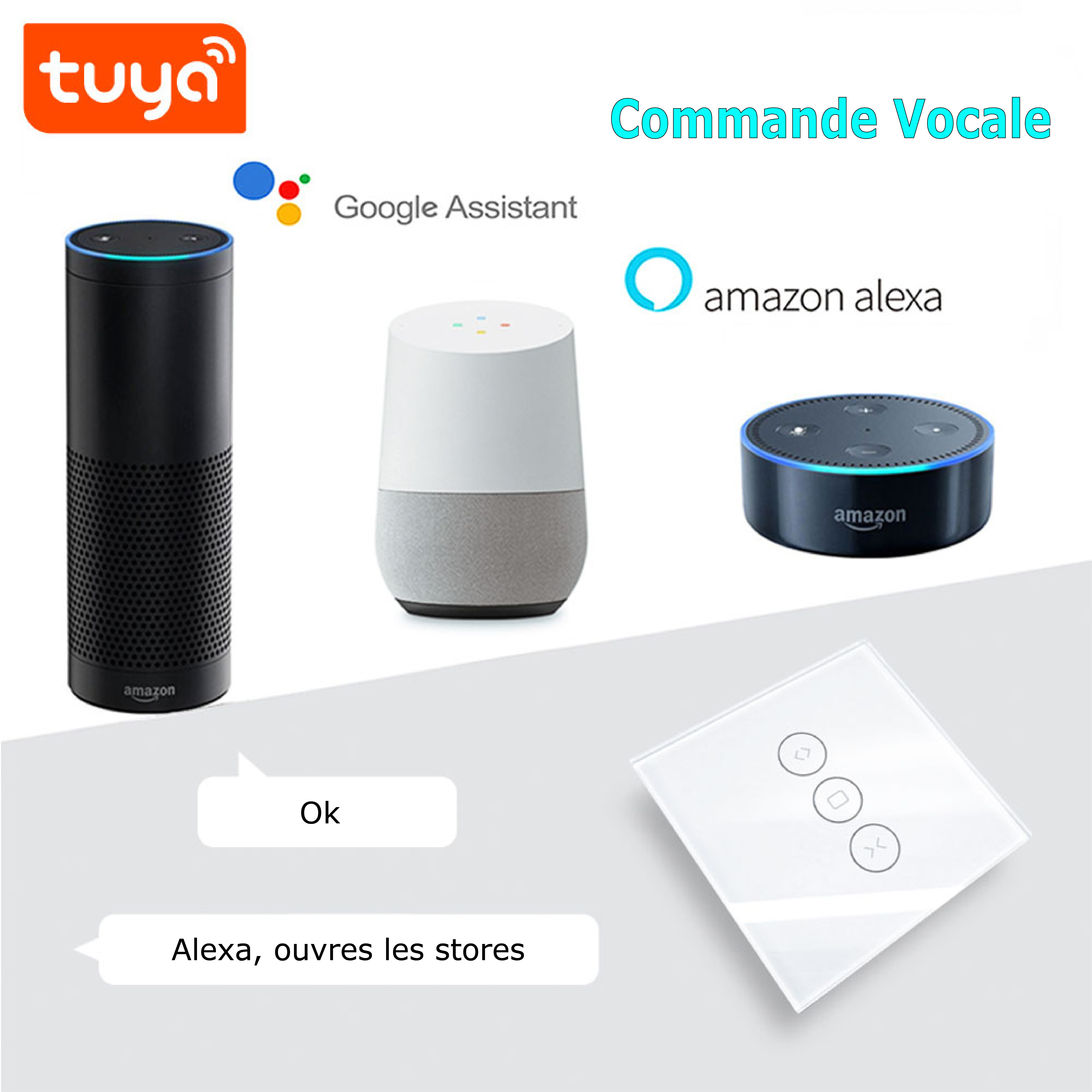 Illuminez votre intérieur avec l'interrupteur tactile double intelligent Wifi et l'application Smartlife