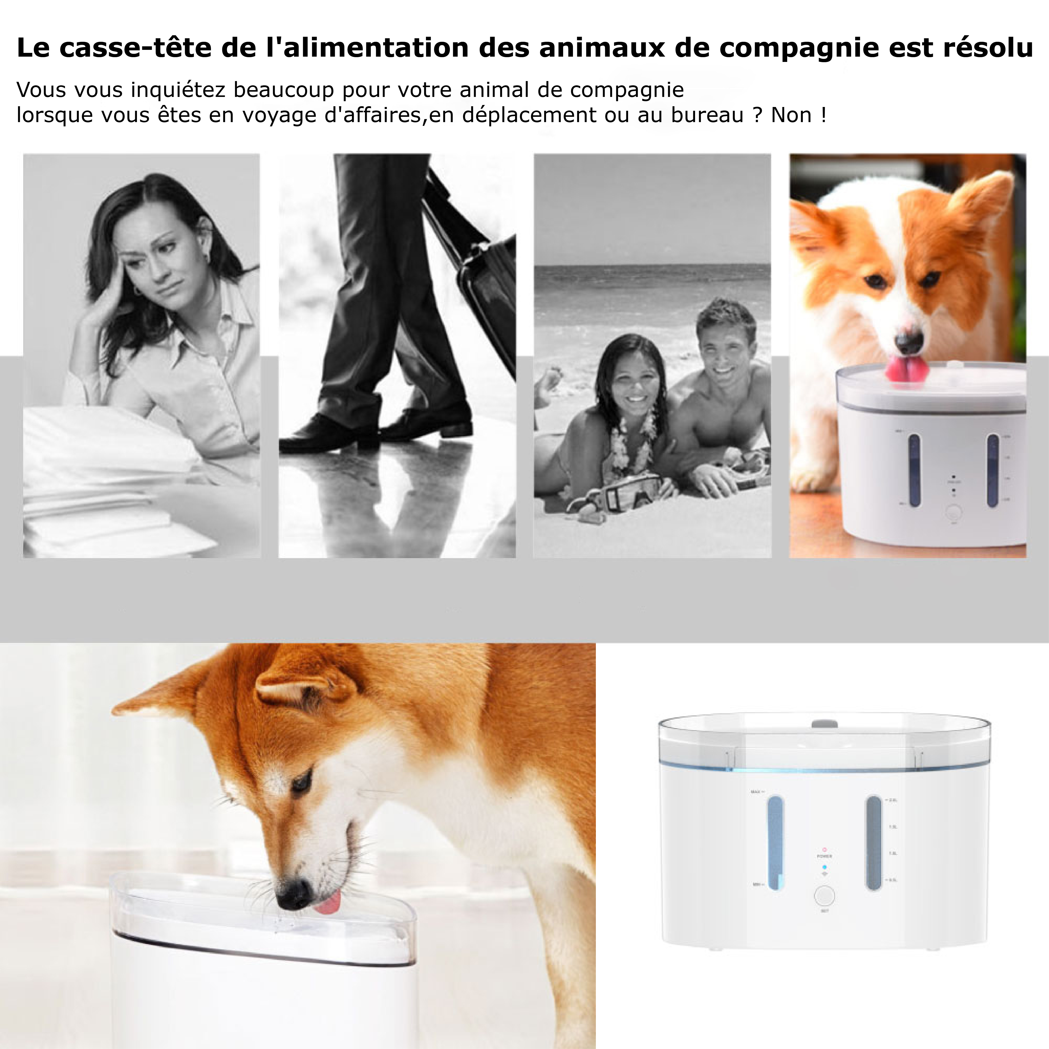 La fontaine connectée pour animaux de compagnie est une solution innovante et pratique pour assurer l'hydratation de vos animaux de compagnie pendant votre absence