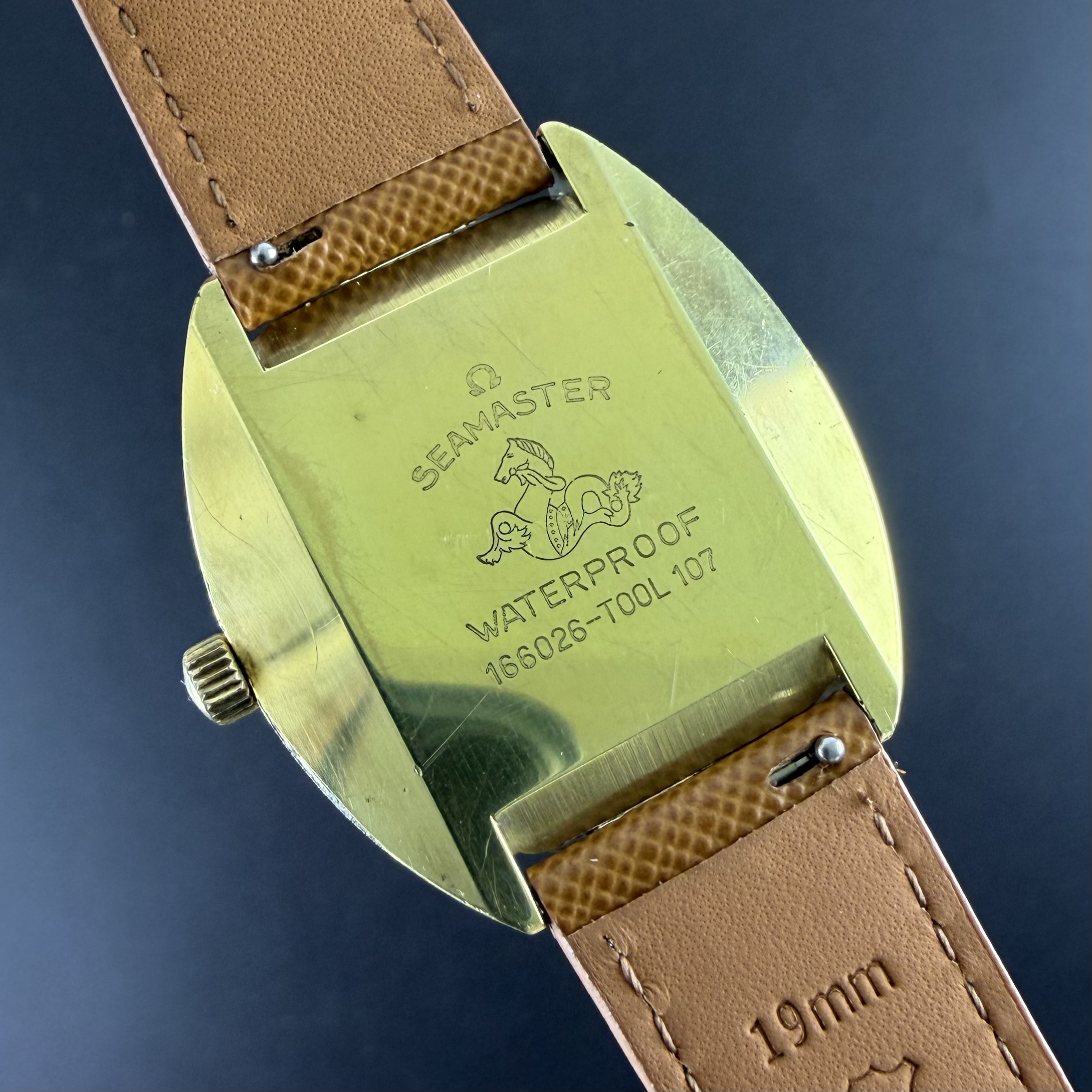 Vintage Omega Seamaster Cosmic Automatic Sparkle dial 166.026 - 35mm - 1970