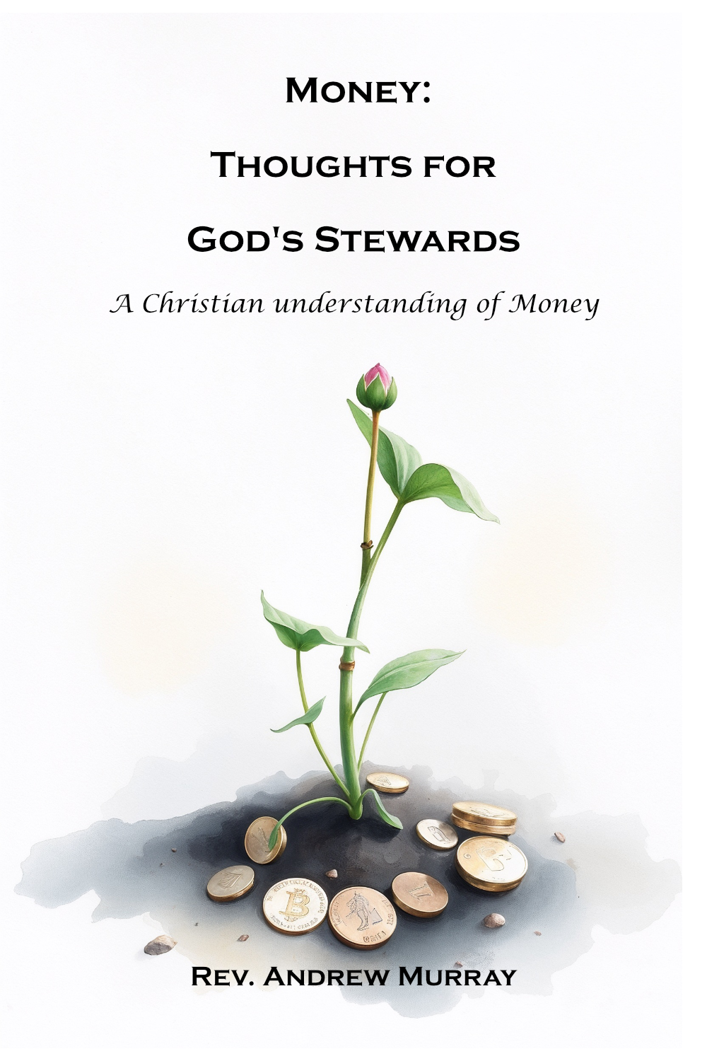 Money: Thoughts for God's Stewards