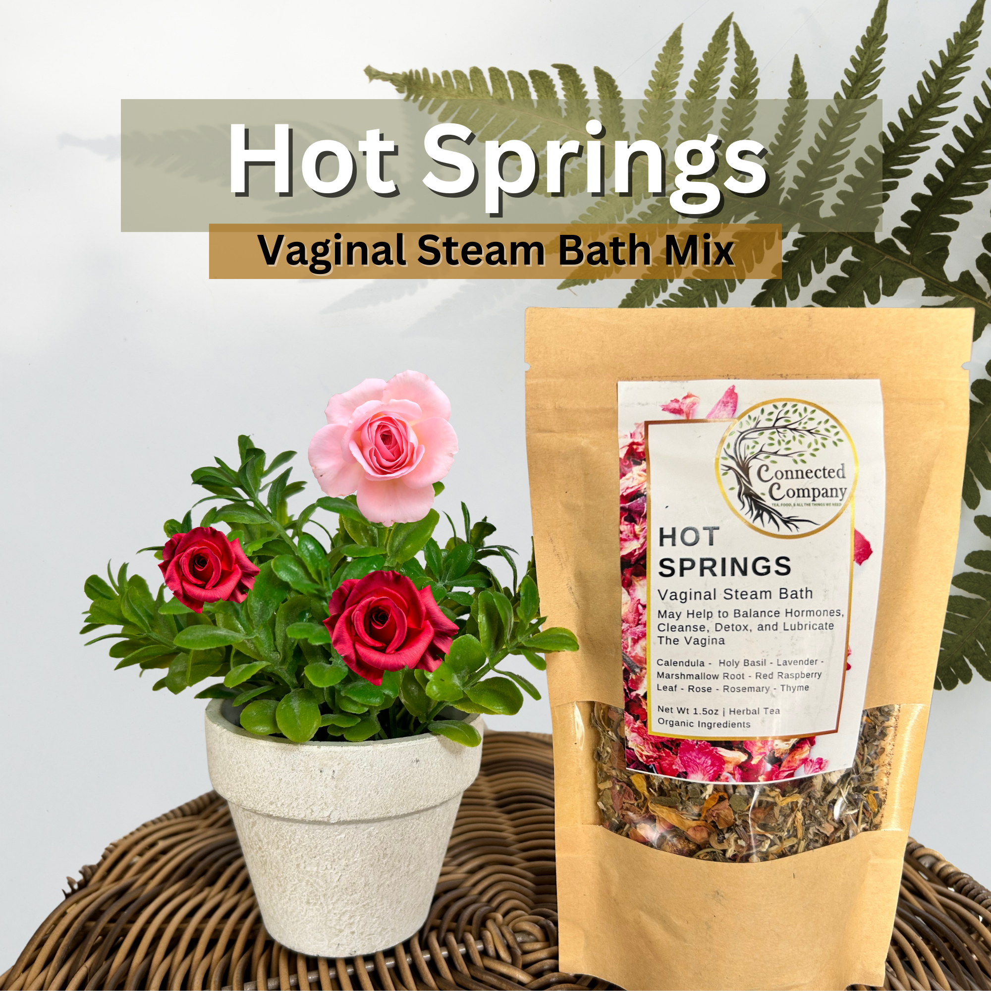 Hot Springs V-Steam Bath