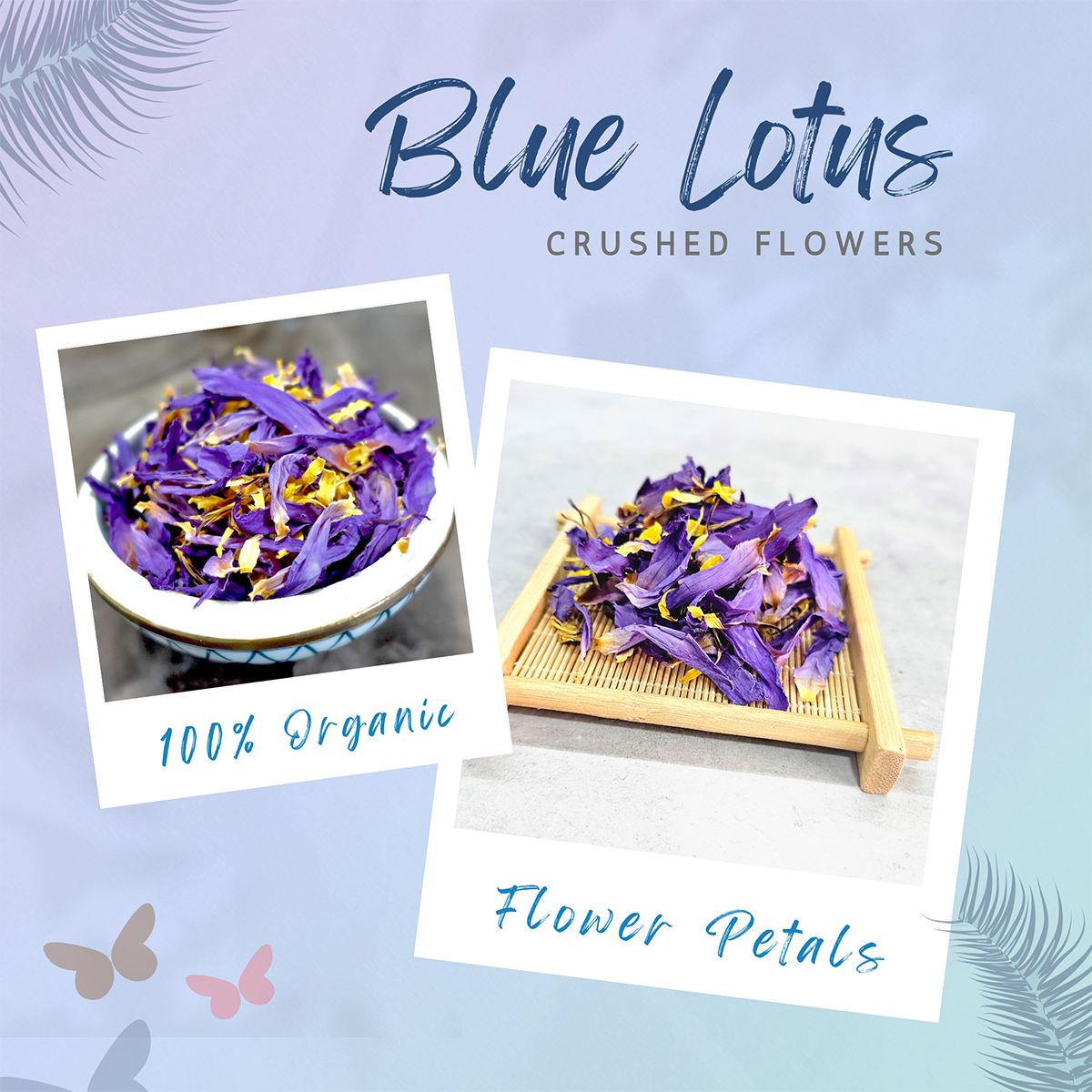 Blue Lotus Crushed Flowers
