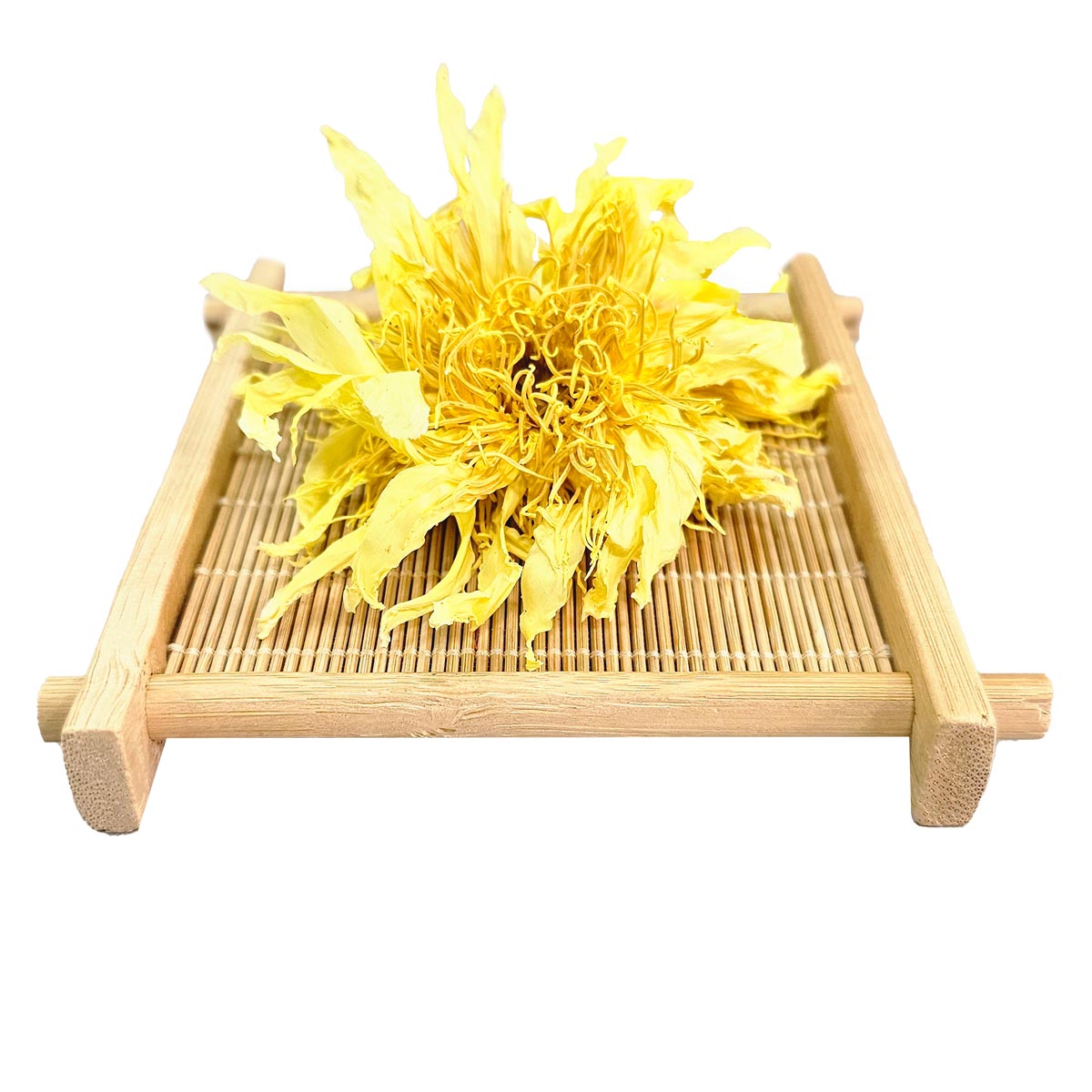 Yellow Lotus Dried Flowers