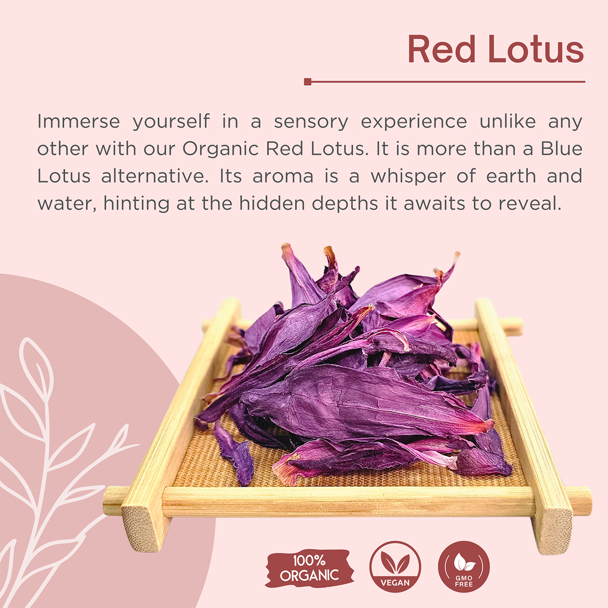 LOTUS DREAM (Blue & Red Lotus)