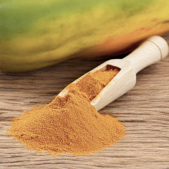 Papaya Powder