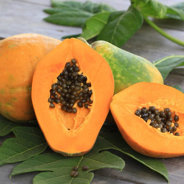 Papaya Powder
