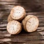 Pueraria mirifica Powder