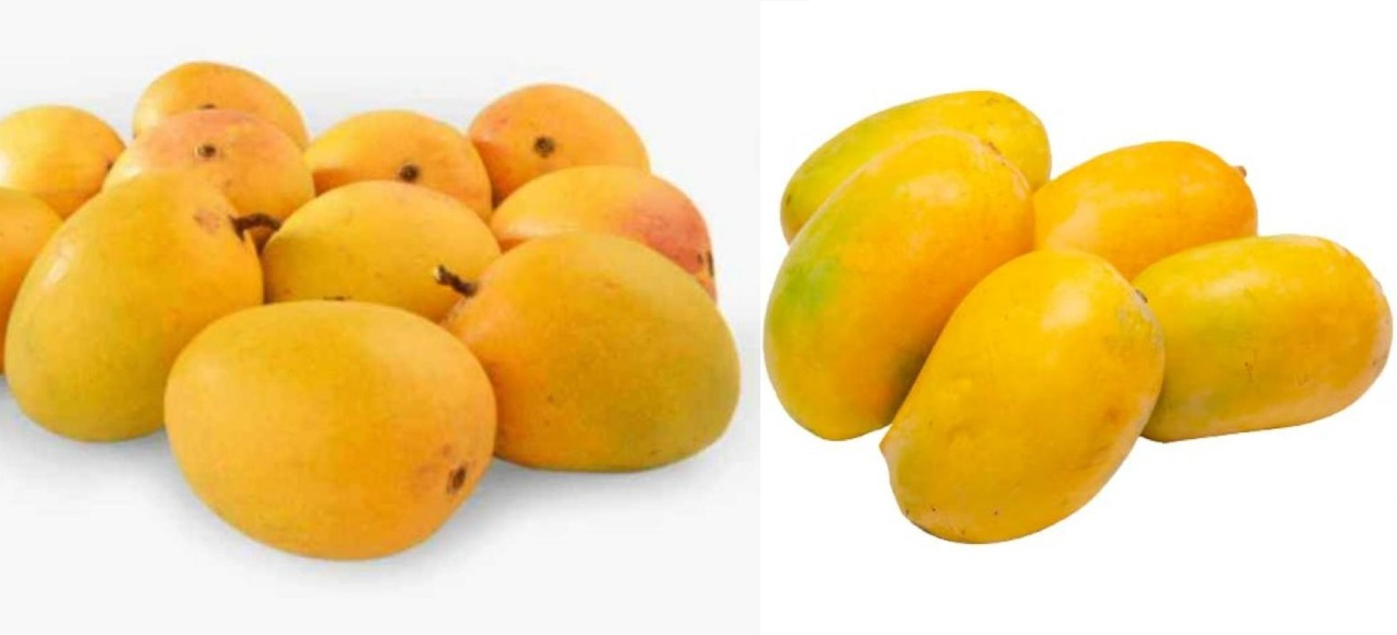 Alphonso 1 Box + Kesar 1 Box (Melbourne)